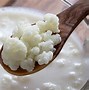 Cách Nuôi Nấm Kefir Làm Sữa Chua