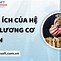 Hệ Số Lương Cơ Bản Năm 2024 Là Bao Nhiêu